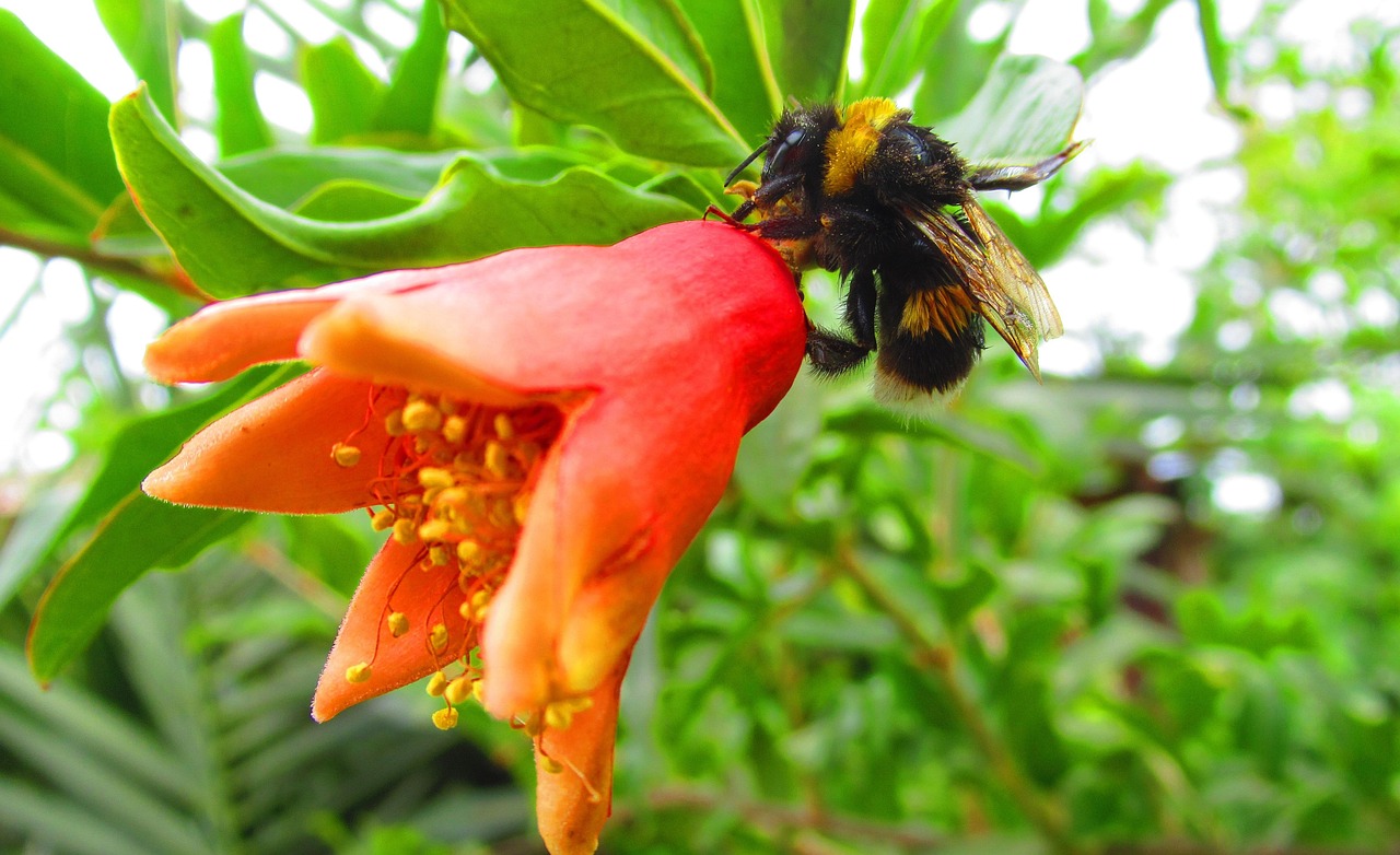 中核二三公司最新招聘動(dòng)態(tài)，探究背后的意義與影響