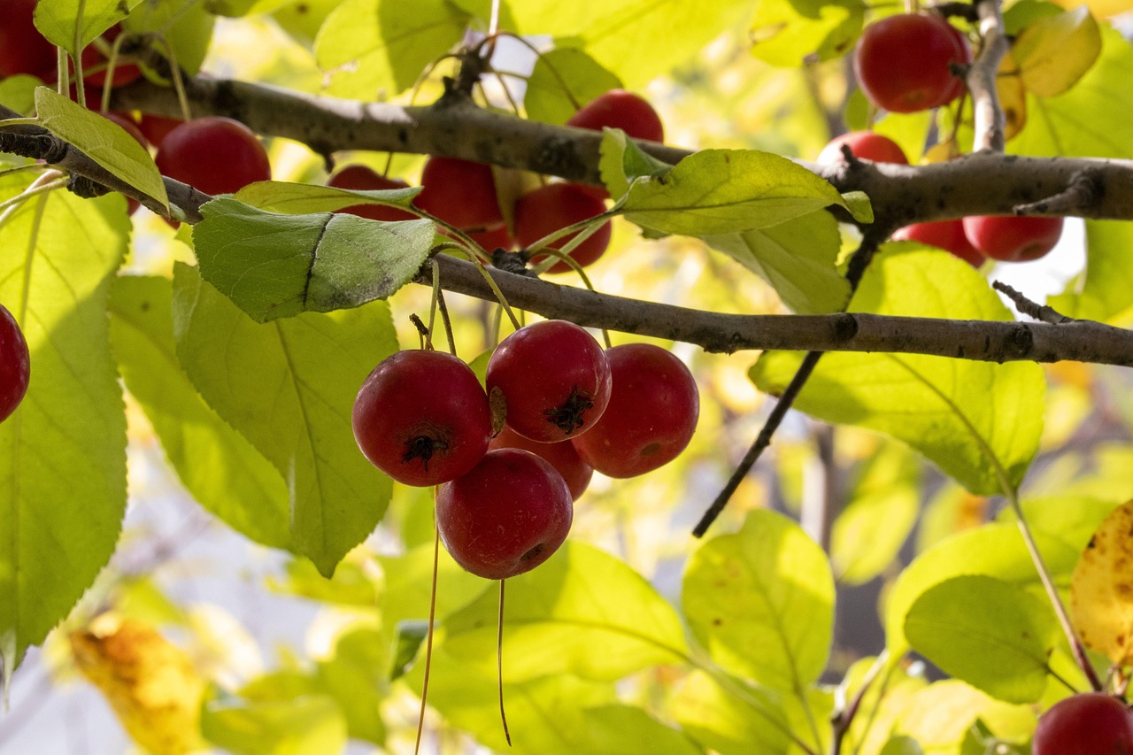 張靚穎最新動(dòng)態(tài)，娛樂(lè)圈的新篇章閃耀登場(chǎng)