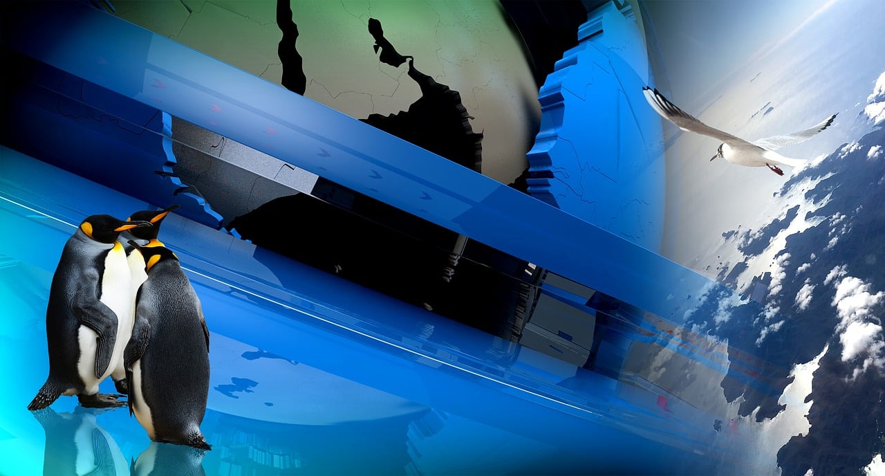 探索免費觀影新時代，最新電影免費觀看全攻略