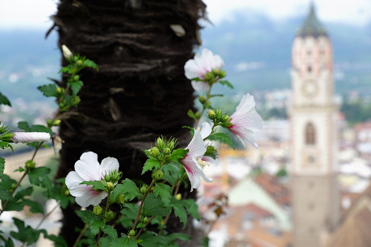 寧波富達(dá)股票動態(tài)及市場走勢與前景展望