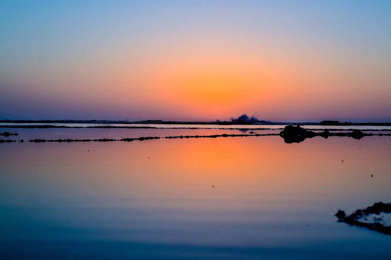 昭告天下 第2頁(yè)