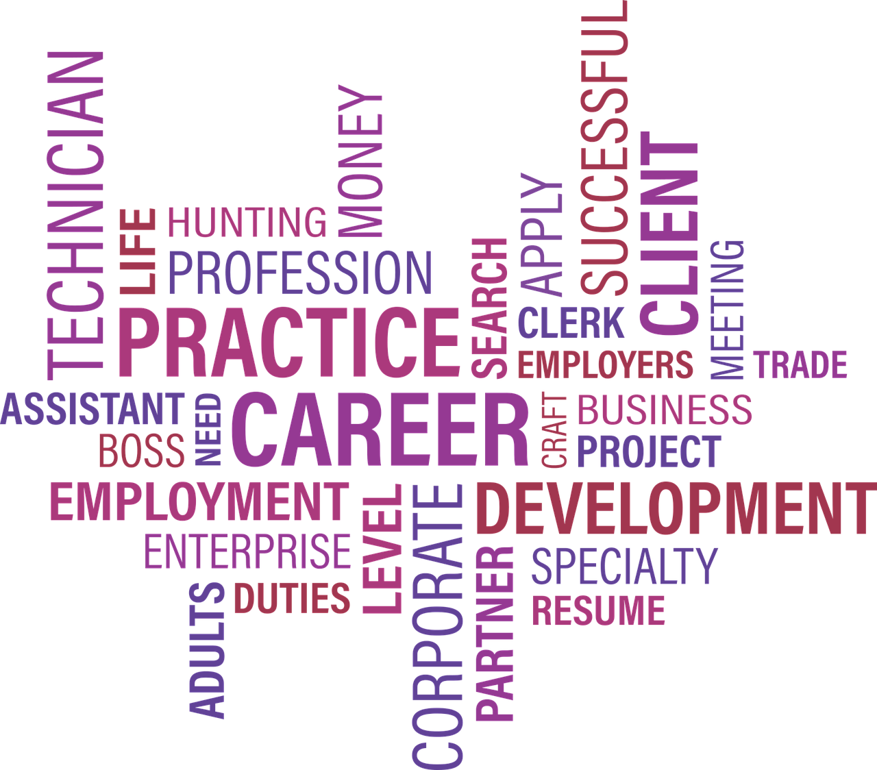 深圳龍崗平湖最新職位招聘信息與行業(yè)趨勢(shì)深度解析