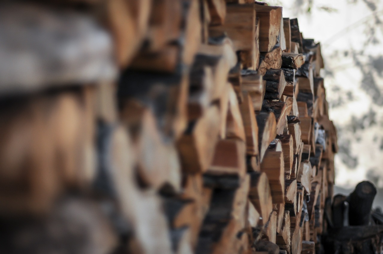 明星情侶分手背后的愛情與現(xiàn)實沖突