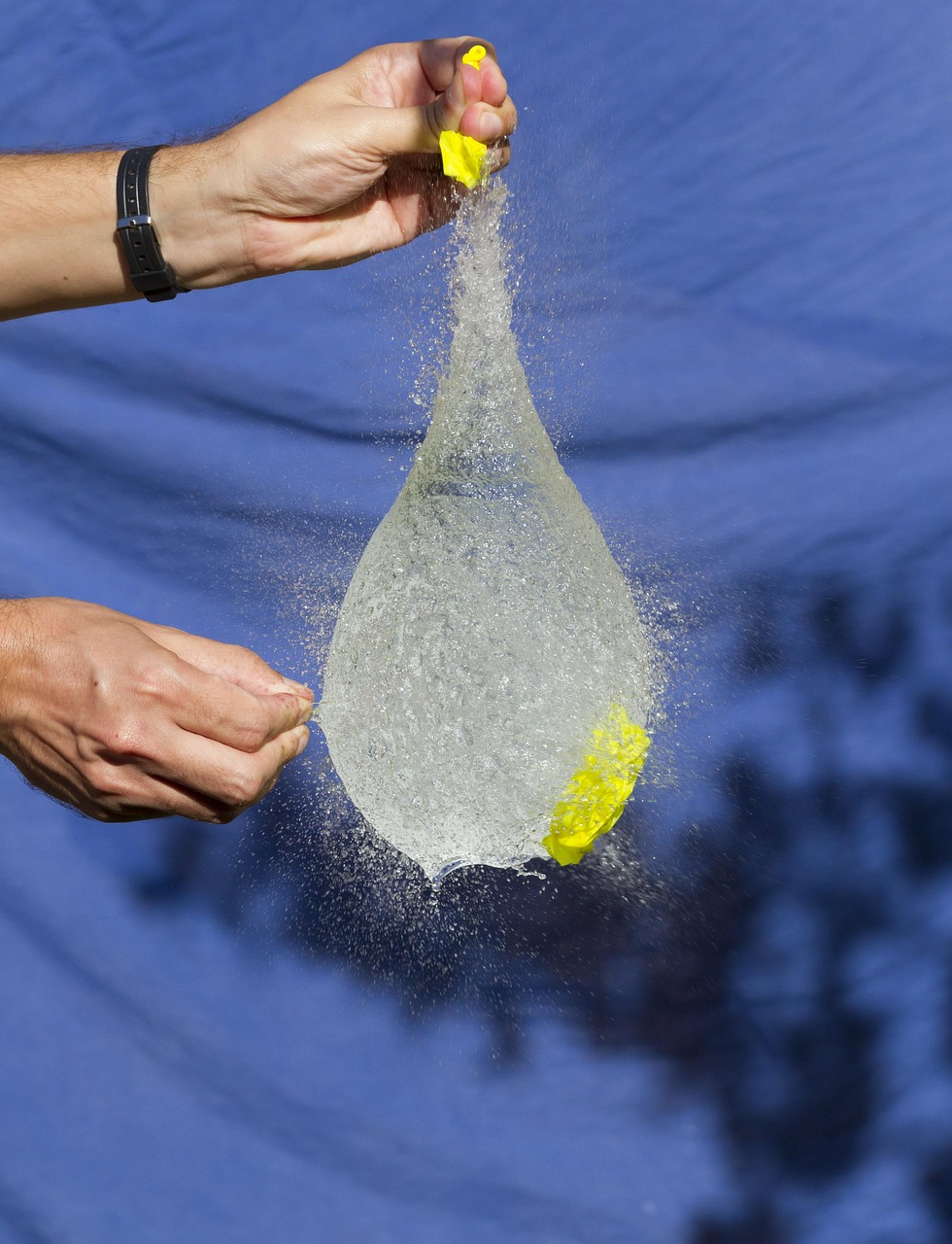 印花稅調(diào)整最新動態(tài)，影響及未來展望