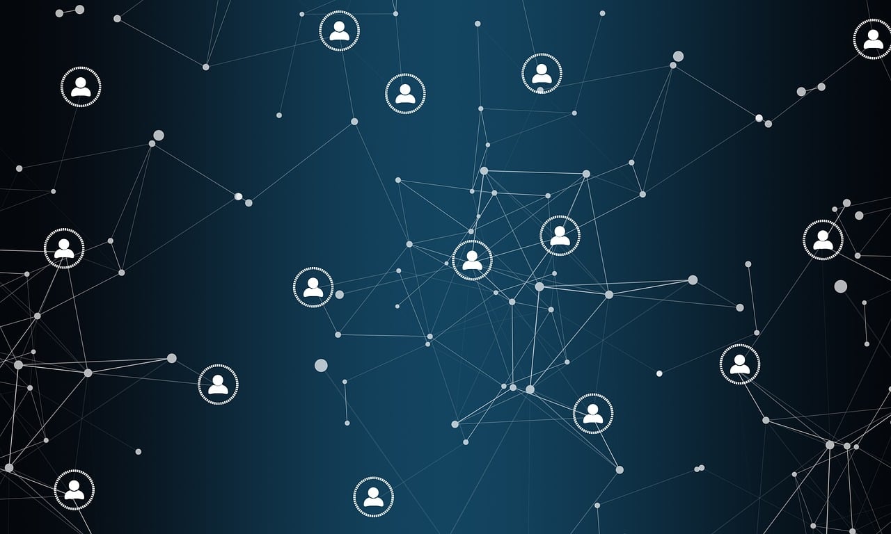 五林風(fēng)資訊，探索信息世界的奧秘