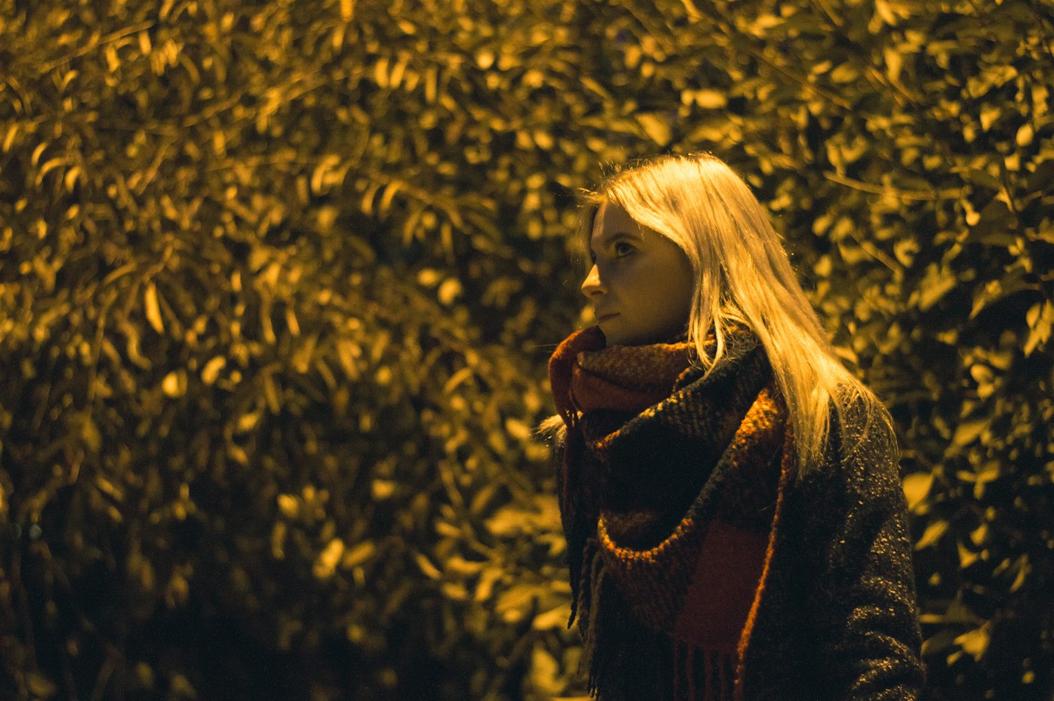 老電影女演員，時光里的璀璨星辰記憶