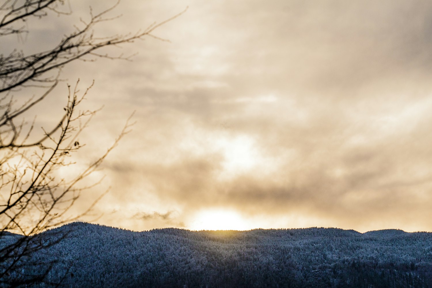 溫暖陽(yáng)光下的美好瞬間，最新下午好圖片精選