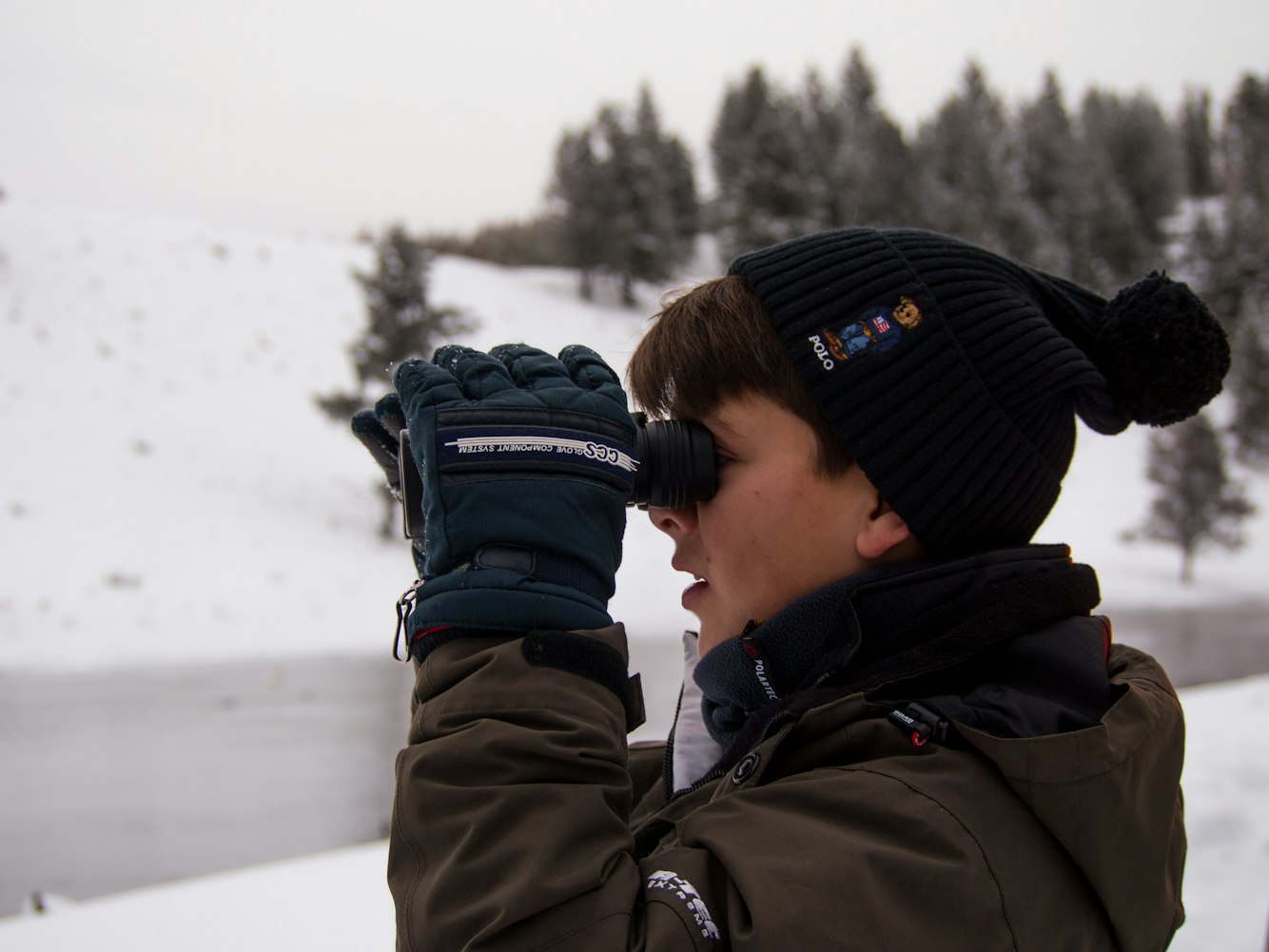 多蘿茜的新動(dòng)態(tài)，探索未知的旅程進(jìn)展